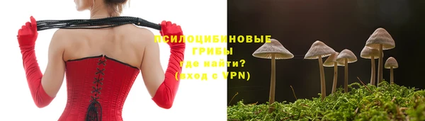 гидра Абинск