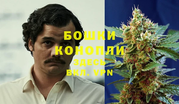 дурь Алзамай