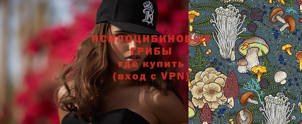 винт Алексин
